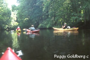 Kayaking on Black Water Creek