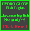 Hydro-Glow Fish Lights