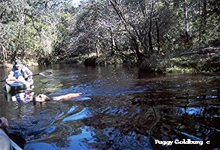 Ridge Swimming